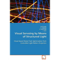 Visual Servoing by Means of Structured Light - Paperback