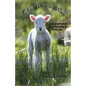 The Way it Was: A Great-grandmother's Stories of Growing up on the Farm - Paperback