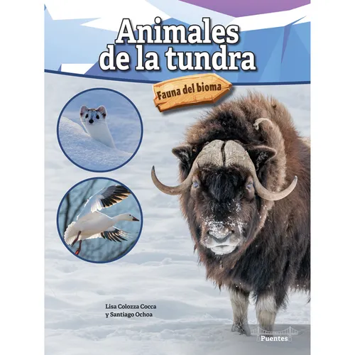 Animales de la Tundra: Tundra Animals - Paperback