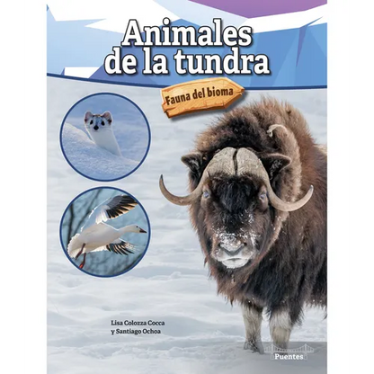 Animales de la Tundra: Tundra Animals - Paperback