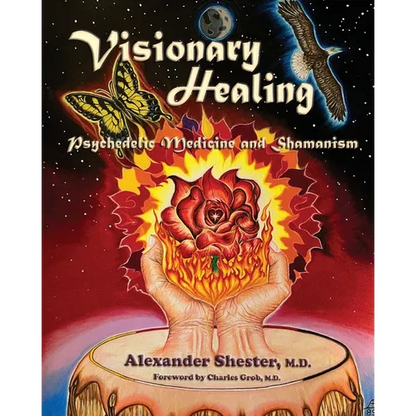 VISIONARY HEALING Psychedelic Medicine and Shamanism - Paperback