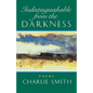Indistinguishable from the Darkness: Poems - Paperback