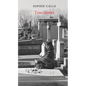 Sophie Calle: True Stories: 66 Short Stories: New Edition - Hardcover