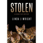Stolen: A Kieran Yeats Mystery - Paperback