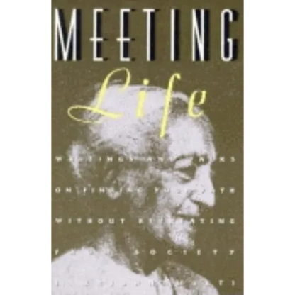 Meeting Life: Writings and Talks on Finding Your Path Without Retreating from Society - Paperback