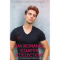 Gay Romance Starter Collection: 20 Sweet Gay Contemporary Romance Short Stories - Paperback
