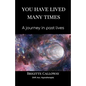 You have lived many times: A journey in past lives - Paperback