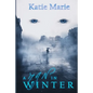 A Man in Winter - Paperback