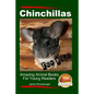 Chinchillas For Kids - Amazing Animal Books For Young Readers - Paperback