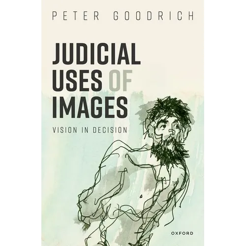 Judicial Uses of Images: Vision in Decision - Hardcover