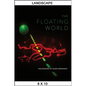 The Floating World: Holograms by Rudie Berkhout - Paperback