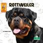 Rottweiler - Paperback
