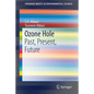 Ozone Hole: Past, Present, Future - Paperback