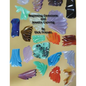 Beginning Gemstone and Jewelry Carving - Paperback
