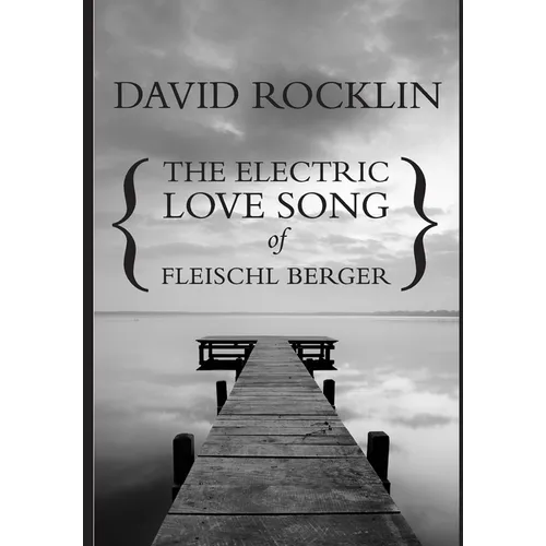 The Electric Love Song of Fleischl Berger - Hardcover