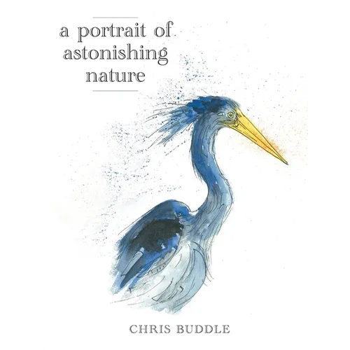 A Portrait of Astonishing Nature - Hardcover