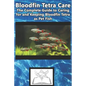 Bloodfin Tetra Care: The Complete Guide to Caring for and Keeping Bloodfin Tetra as Pet Fish - Paperback