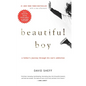 Beautiful Boy: A Father's Journey Through His Son's Addiction - Hardcover