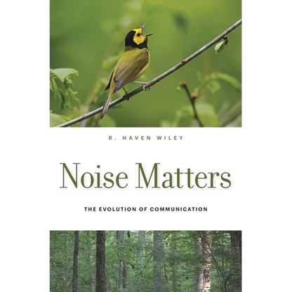 Noise Matters - Hardcover