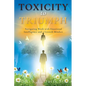 Toxicity to Triumph: Navigating Work with Emotional Intelligence and a Growth Mindset - Paperback