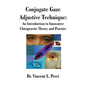 Conjugate Gaze Adjustive Technique: An Introduction to Innovative Chiropractic Theory and Practice - Paperback