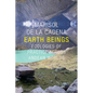 Earth Beings: Ecologies of Practice Across Andean Worlds - Paperback