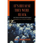 It's Because They Were Black: 100 Years of Fraud and Forgery - Paperback