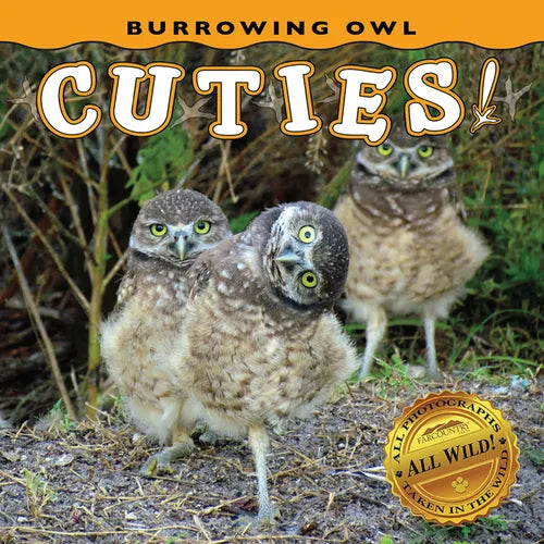 Burrowing Owl Cuties! - Board Book