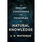 An Enquiry Concerning the Principles of Natural Knowledge - Paperback