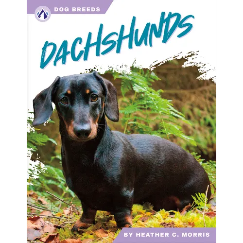 Dachshunds - Paperback