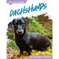Dachshunds - Paperback