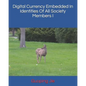 Digital Currency Embedded in Identities of All Society Members I - Paperback