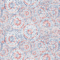 White Patriotic Hexi Dots Cotton Wideback Fabric per yard