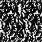 White With Black Brush Strokes Cotton Wideback Fabric per yard