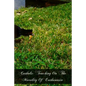 Catholic Teaching On The Morality Of Euthanasia - Paperback
