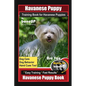 Havanese Puppy Training Book for Havanese Puppies By BoneUP DOG Training, Dog Care, Dog Behavior, Hand Cues Too! Are You Ready to Bone Up? Easy Traini - Paperback