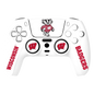 Wisconsin Badgers PS5 Starter Kit