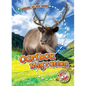 Caribou Migration - Library Binding