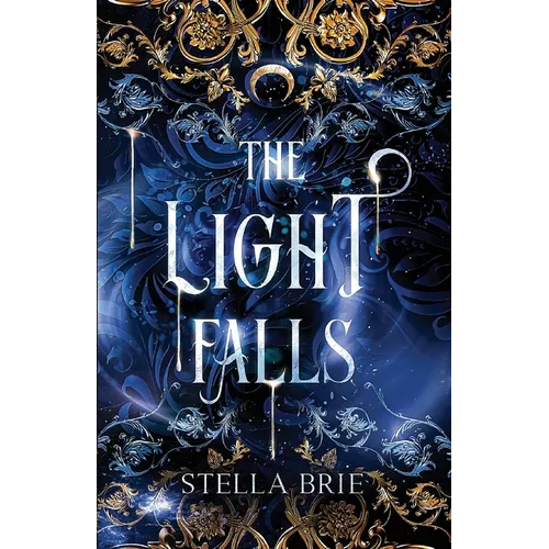 The Light Falls - Paperback