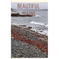 Beautiful Maine - Paperback