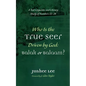 Who Is the True Seer Driven by God: Balak or Balaam?: A Text Linguistic and Literary Study of Numbers 22-24 - Hardcover