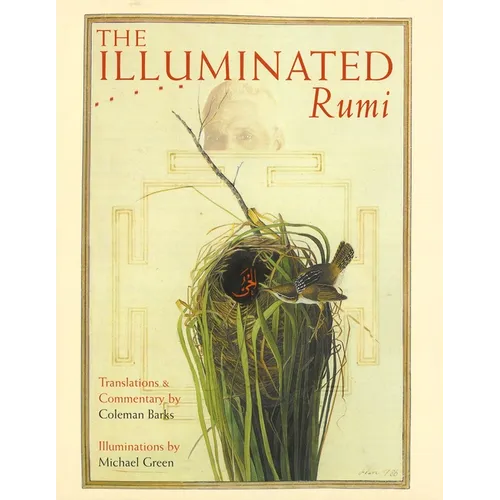 The Illuminated Rumi - Hardcover