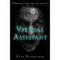 Virtual Assistant - Paperback