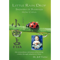 Little Rain Drop: Showers of Blessings from China - Hardcover