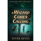 A Wizard Comes Calling - Paperback