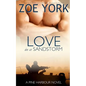 Love in a Sandstorm - Paperback
