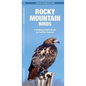 Rocky Mountain Birds: An Introduction to Familiar Species
