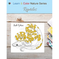 Reptiles - Paperback
