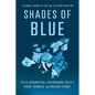 Shades of Blue: Claiming Europe in the Age of Disintegration - Hardcover