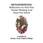 Metamorphosis: Reflections of a First Year Teacher Working in an Inner-City School - Paperback